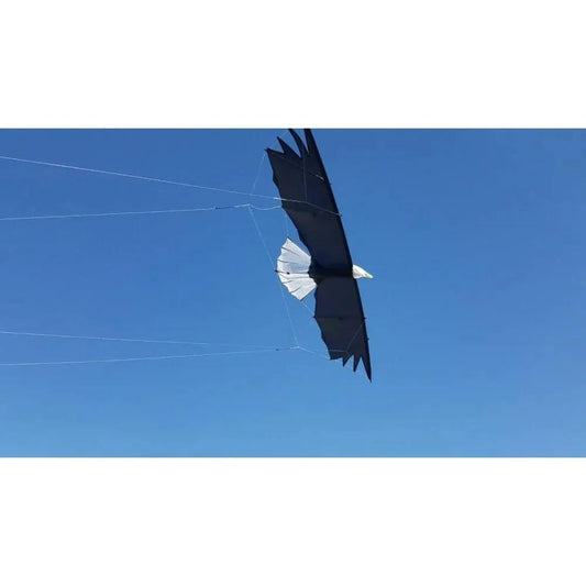 Sådan vælger du den rigtige line til din drage