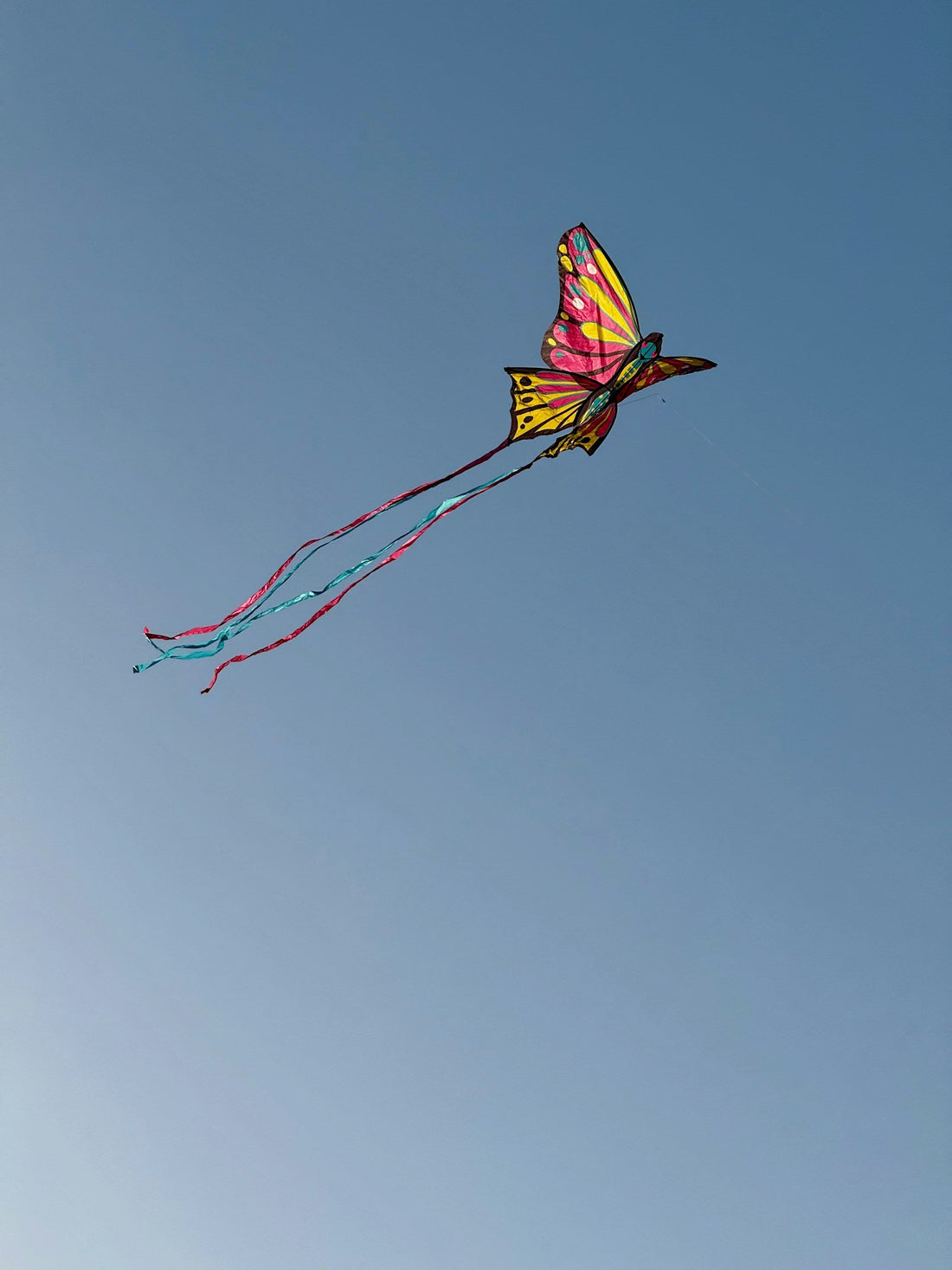 Sådan opbevarer du bedst drager uden at beskadige dem