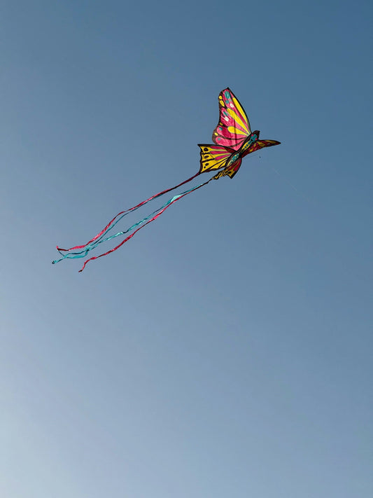 Sådan opbevarer du bedst drager uden at beskadige dem