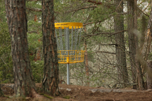 De Bedste Disc Golf Baner i Danmark