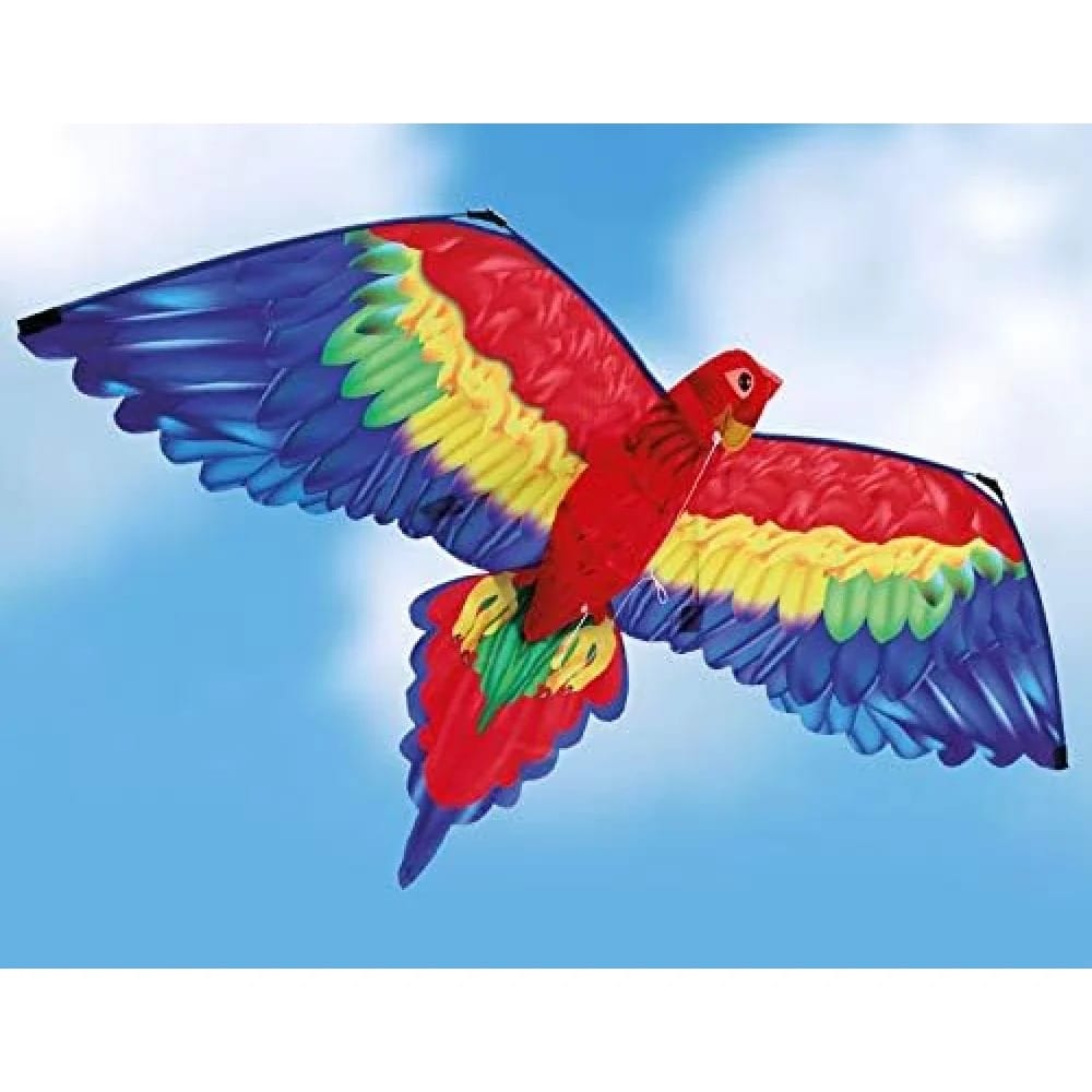 3D Dragen Cora er en papegøje drage. Cora er farvestrålende og får alle til at kigge op.